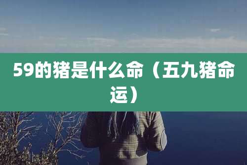 59的猪是什么命(五九猪命运)