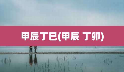 甲辰丁巳(甲辰 丁卯)