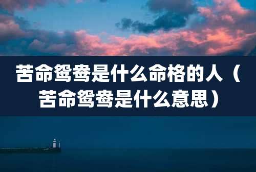 苦命鸳鸯是什么命格的人（苦命鸳鸯是什么意思）