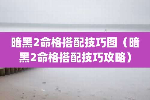 暗黑2命格搭配技巧图（暗黑2命格搭配技巧攻略）