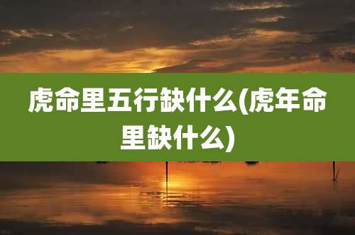 虎命里五行缺什么(虎年命里缺什么)