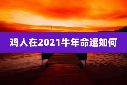 鸡人在2021牛年命运如何
