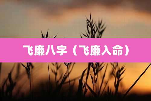 飞廉八字（飞廉入命）