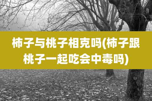 柿子与桃子相克吗(柿子跟桃子一起吃会中毒吗)