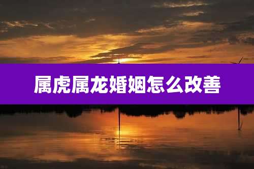 属虎属龙婚姻怎么改善