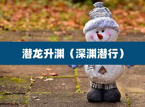 潜龙升渊（深渊潜行）