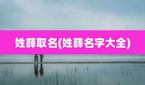 姓薛取名(姓薛名字大全)