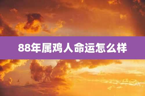 88年属鸡人命运怎么样