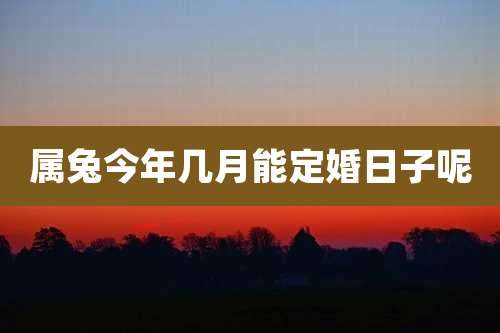 属兔今年几月能定婚日子呢