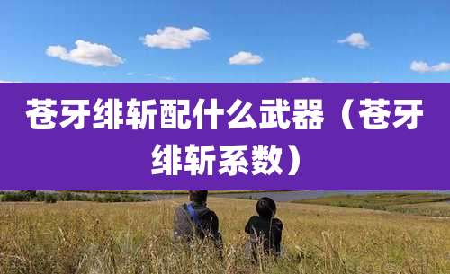 苍牙绯斩配什么武器（苍牙绯斩系数）