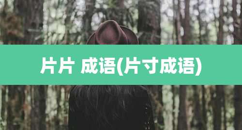 片片 成语(片寸成语)