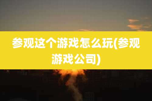 参观这个游戏怎么玩(参观游戏公司)