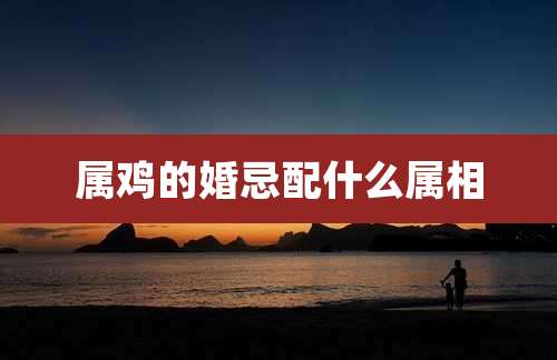 属鸡的婚忌配什么属相