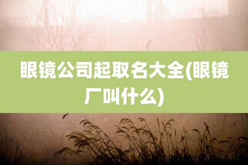 眼镜公司起取名大全(眼镜厂叫什么)