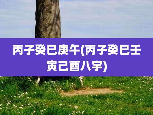 丙子癸巳庚午(丙子癸巳壬寅己酉八字)