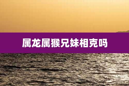 属龙属猴兄妹相克吗