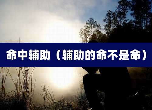 命中辅助（辅助的命不是命）