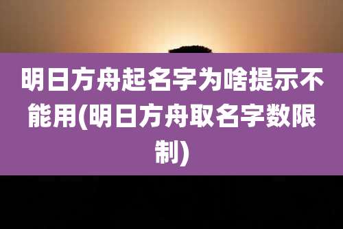 明日方舟起名字为啥提示不能用(明日方舟取名字数限制)
