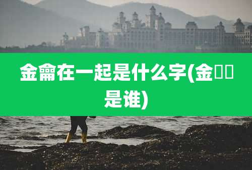 金龠在一起是什么字(金旼炡是谁)