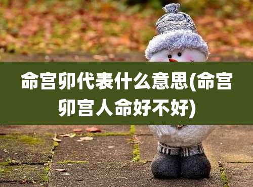 命宫卯代表什么意思(命宫卯宫人命好不好)