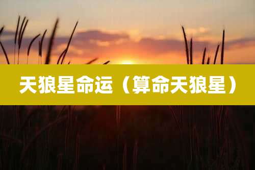 天狼星命运（算命天狼星）