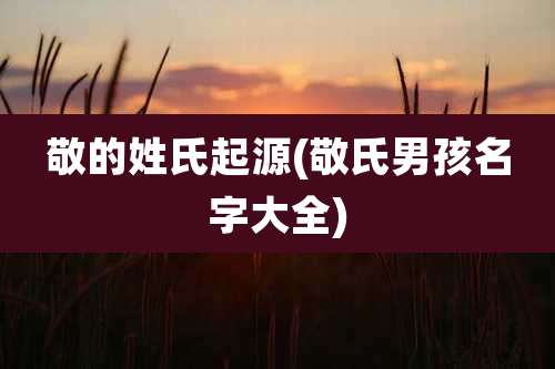 敬的姓氏起源(敬氏男孩名字大全)