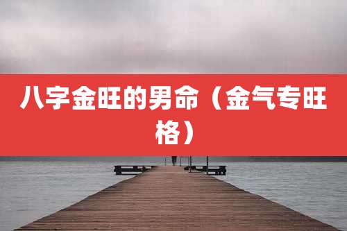 八字金旺的男命（金气专旺格）