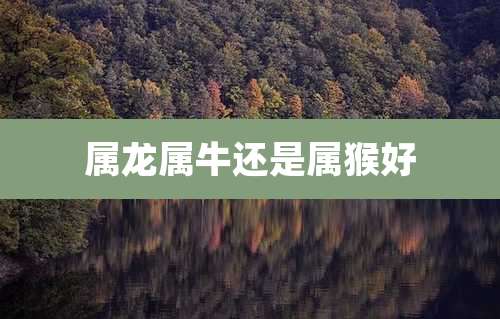 属龙属牛还是属猴好