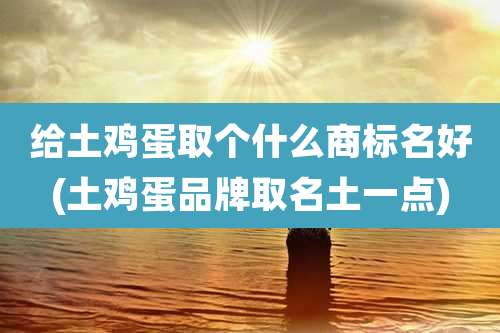 给土鸡蛋取个什么商标名好(土鸡蛋品牌取名土一点)