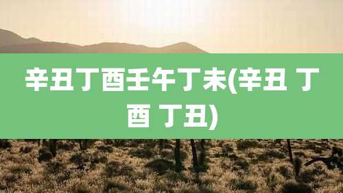 辛丑丁酉壬午丁未(辛丑 丁酉 丁丑)