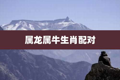 属龙属牛生肖配对