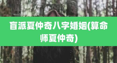 盲派夏仲奇八字婚姻(算命师夏仲奇)