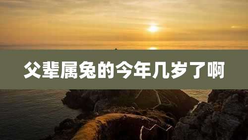 父辈属兔的今年几岁了啊