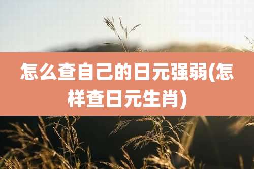 怎么查自己的日元强弱(怎样查日元生肖)