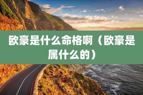 欧豪是什么命格啊(欧豪是属什么的)