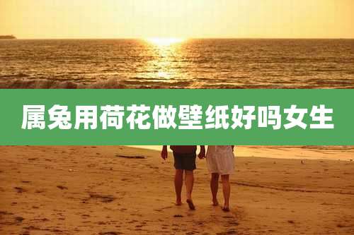 属兔用荷花做壁纸好吗女生