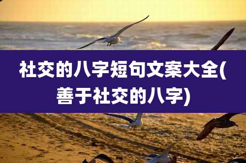 社交的八字短句文案大全(善于社交的八字)