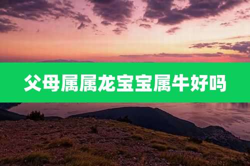 父母属属龙宝宝属牛好吗