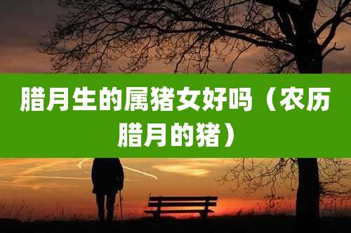 腊月生的属猪女好吗（农历腊月的猪）