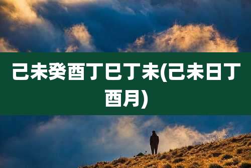 己未癸酉丁巳丁未(己未日丁酉月)
