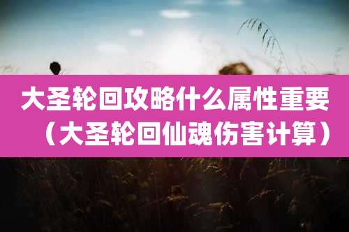 大圣轮回攻略什么属性重要（大圣轮回仙魂伤害计算）