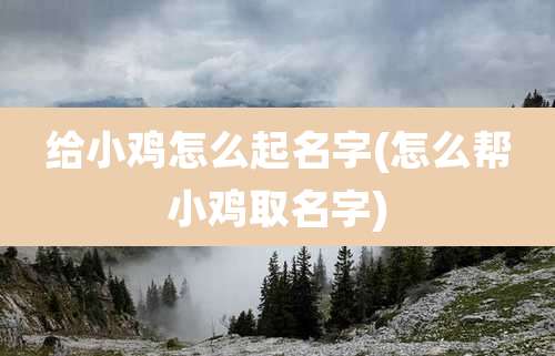 给小鸡怎么起名字(怎么帮小鸡取名字)