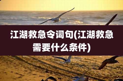 江湖救急令词句(江湖救急需要什么条件)
