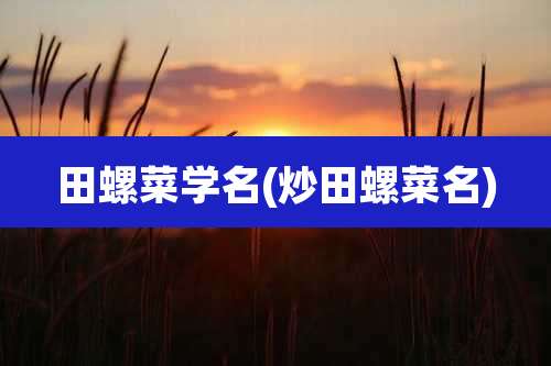 田螺菜学名(炒田螺菜名)
