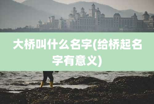 大桥叫什么名字(给桥起名字有意义)