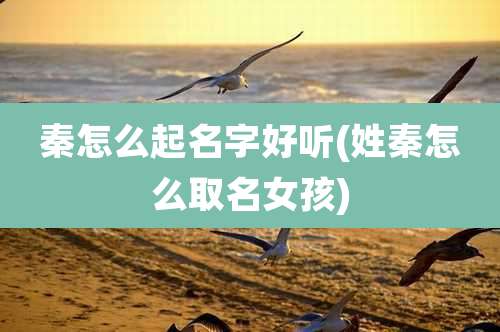 秦怎么起名字好听(姓秦怎么取名女孩)