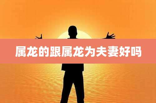 属龙的跟属龙为夫妻好吗