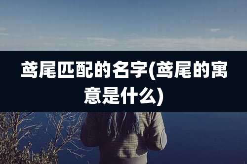 鸢尾匹配的名字(鸢尾的寓意是什么)