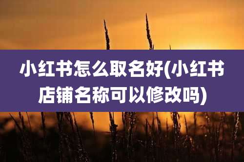 小红书怎么取名好(小红书店铺名称可以修改吗)
