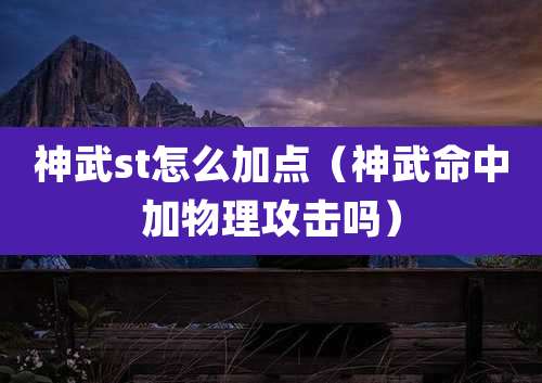 神武st怎么加点（神武命中加物理攻击吗）